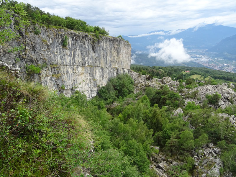 Rupicapra rupicapra.....dal Trentino Alto Adige